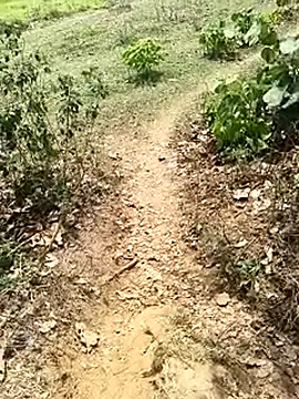 Sheela Sex90 online show from 04/19/26, 06:56