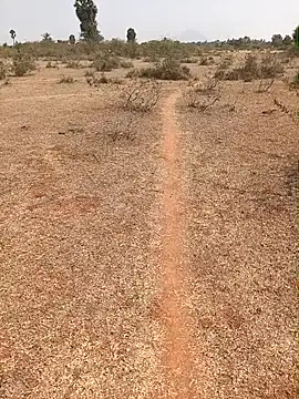 Snapshot of Tamilpaiyan07 chatting on 02/09/26, 07:01 Tamilpaiyan07 online show from 02/09/26, 07:01