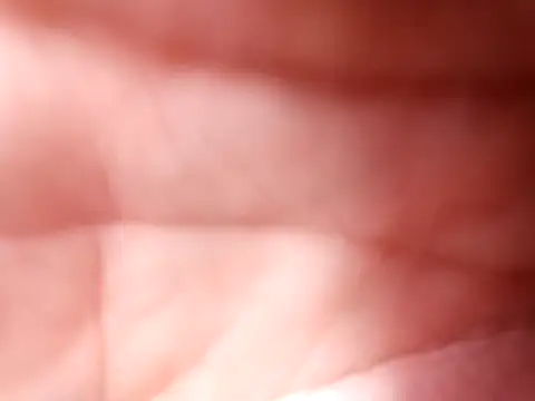 mellzinhacasada online show from 02/16/26, 04:58