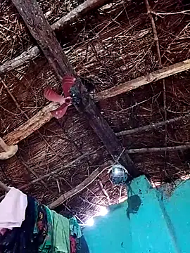 Rajni hote online show from 02/13/26, 05:14