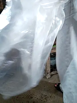 hangnga89 online show from 03/01/26, 02:57