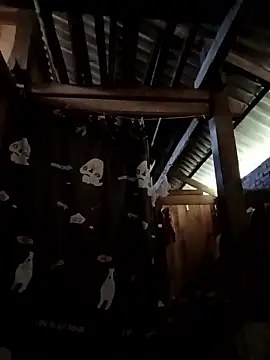 Money moneylove online show from 12/23/25, 03:37