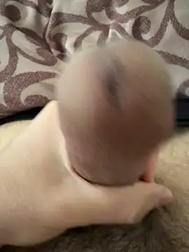 Snapshot of beastcumm chatting on 04/05/26, 08:11 beastcumm online show from 04/05/26, 08:11