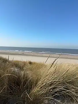 friemeldepiemel online show from 03/05/26, 01:18