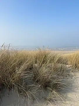 friemeldepiemel online show from 03/08/26, 12:42