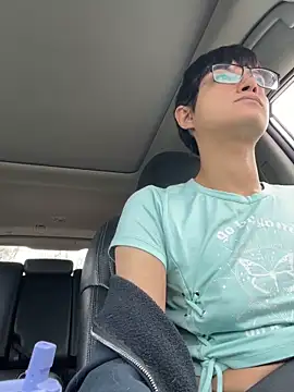 FaiiryArii online show from 04/13/26, 06:24