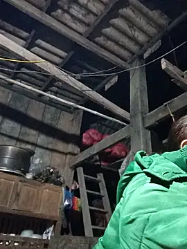 dakota-kis online show from 02/01/26, 11:53