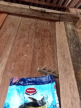 dakota-kis online show from 04/06/26, 05:08