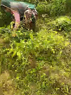 hornycouple20000 online show from 01/08/26, 05:43