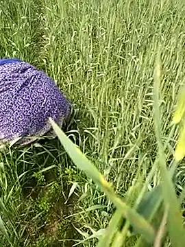 hornycouple20000 online show from 02/01/26, 06:45