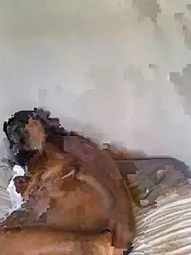 babepear online show from 02/25/26, 06:34