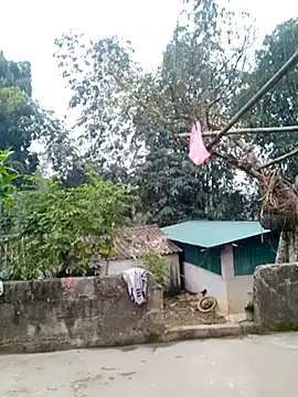 Snapshot of muamua99 chatting on 01/17/26, 12:15 muamua99 online show from 01/17/26, 12:15