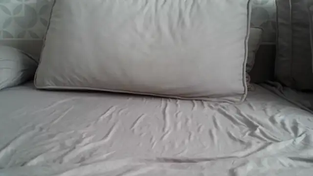 apollo81 online show from 02/18/26, 09:49