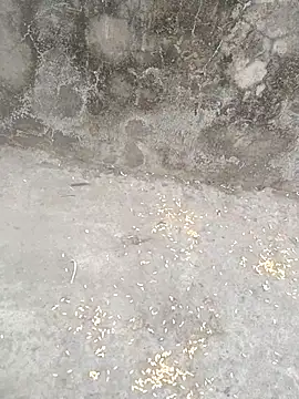 sexyboy 917 online show from 03/05/26, 12:45