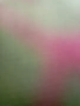 Snapshot of Dariralf chatting on 01/16/26, 12:42 Dariralf online show from 01/16/26, 12:42