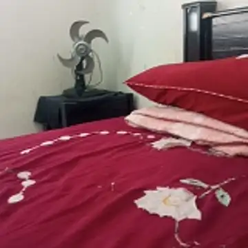    - - bucetuda  2026 online show from 01/06/26, 02:43