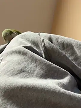 Andres56ojh online show from 02/14/26, 11:01