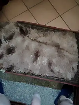 TAMI61 online show from 03/25/26, 02:45