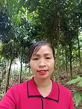 xiaogoal online show from 06/11/26, 03:15