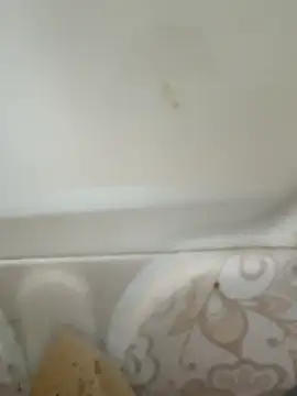 Pagelboy 089 online show from 02/19/26, 08:43