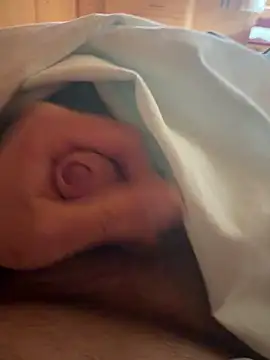 vfhvgzvvbh online show from 04/18/26, 11:25