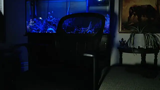 EspanolVato online show from 02/08/26, 09:13