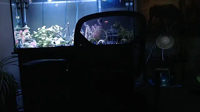 EspanolVato online show from 03/26/26, 12:06