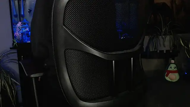 EspanolVato online show from 04/11/26, 08:51