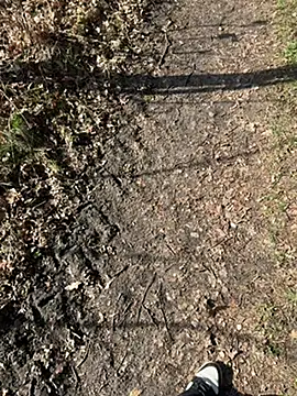 Nickwichst online show from 03/12/26, 09:15