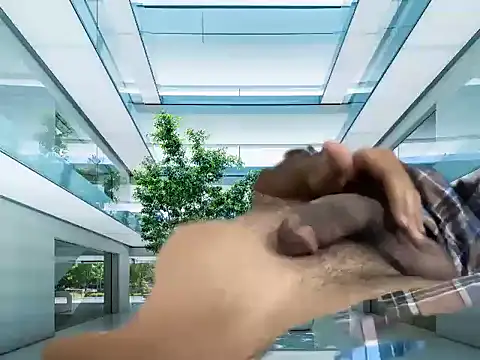 mdlaif1111 online show from 04/08/26, 09:31