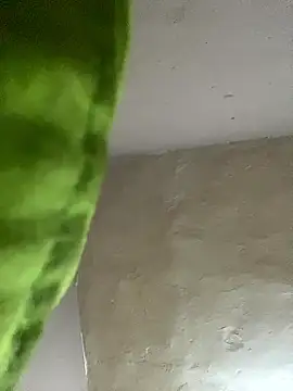 kwandero1234 online show from 01/12/26, 07:41