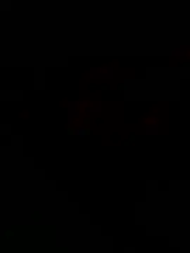 thich lo online show from 01/13/26, 11:15