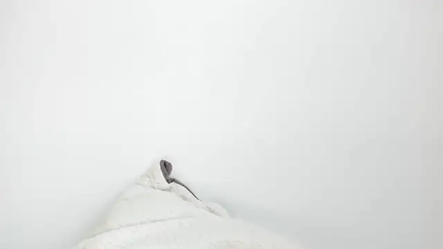 Sarah sumemers online show from 03/04/26, 08:15