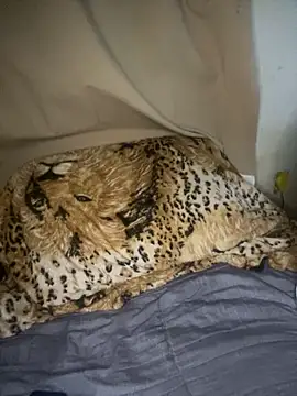 Snapshot of magneto01 chatting on 04/05/26, 02:09 magneto01 online show from 04/05/26, 02:09