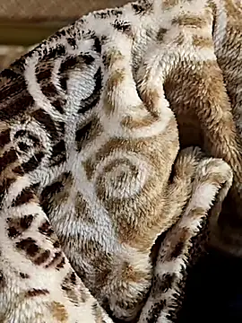 Snapshot of Love_Sweat5 chatting on 01/08/26, 05:21 Love Sweat5 online show from 01/08/26, 05:21