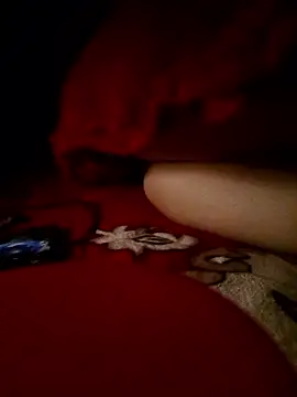 Snapshot of -Bunny-y chatting on 01/11/26, 05:29 -Bunny-y online show from 01/11/26, 05:29