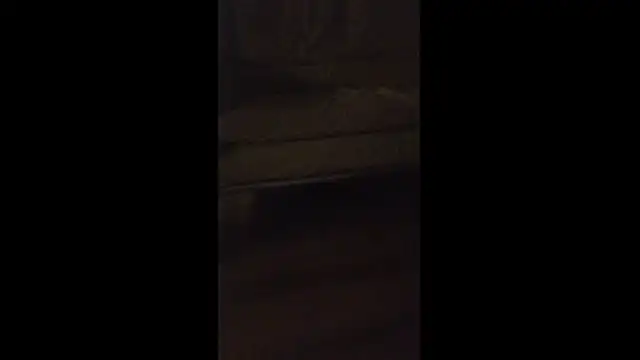 dongoralesko77 online show from 04/11/26, 03:00