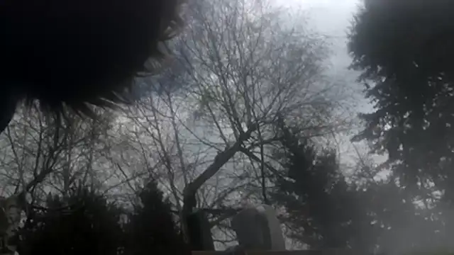 dongoralesko77 online show from 04/11/26, 10:19