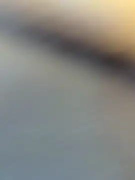 wy2026 online show from 04/06/26, 07:09