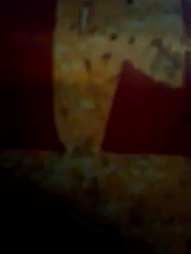 CockForPussy1508 online show from 02/10/26, 06:39