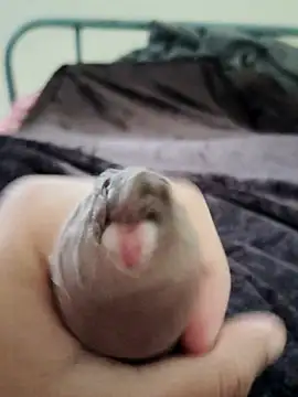 unknownuser96 online show from 01/09/26, 08:06