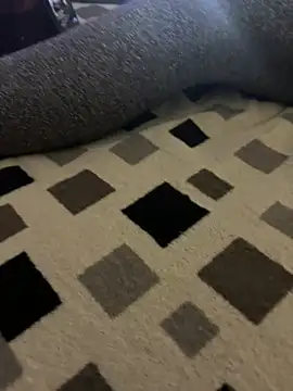 CsokiDaddy online show from 01/10/26, 06:20