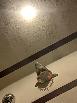 luis-pipo online show from 01/08/26, 10:39