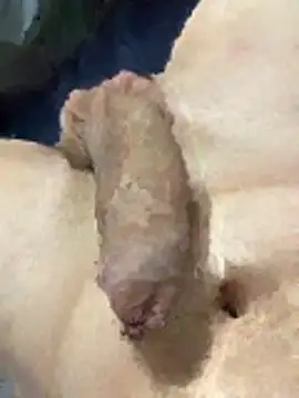 Snapshot of misteryboi chatting on 02/01/26, 12:20 misteryboi online show from 02/01/26, 12:20