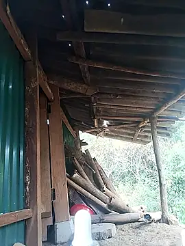 feli-00 online show from 01/10/26, 02:02