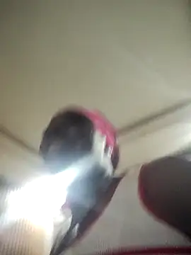 EngelSmith  online show from 02/05/26, 12:21