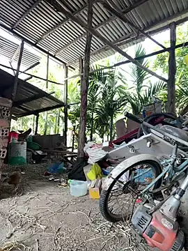 Snapshot of Ginny_2x chatting on 01/18/26, 04:27 Ginny 2x online show from 01/18/26, 04:27