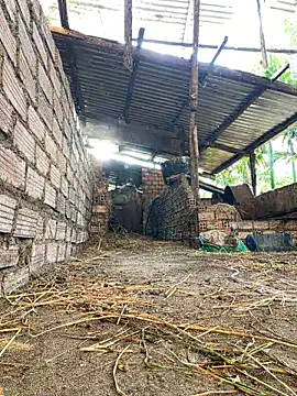 Snapshot of Ginny_2x chatting on 02/15/26, 09:41 Ginny 2x online show from 02/15/26, 09:41