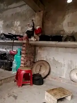 cdyyds-69 online show from 02/05/26, 05:23