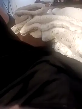 Snapshot of BoneyMoroney chatting on 02/20/26, 03:01 BoneyMoroney online show from 02/20/26, 03:01